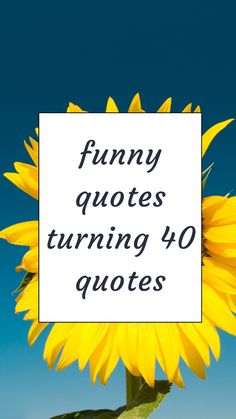 a sunflower with the words funny quotes turning 40 quotes