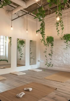 a yoga studio with mirrors and plants hanging from the ceiling