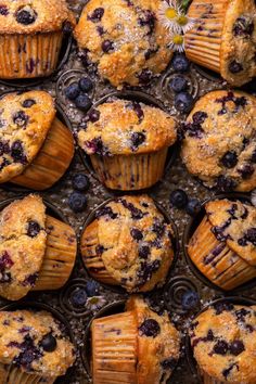 blueberry muffins with fresh blueberries in the middle are ready to be eaten