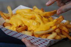 a person is holding a tray full of cheese fries