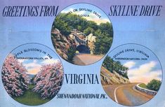 an advertisement for the virginia highway shows three scenic scenes, including trees and flowers on either side of the road