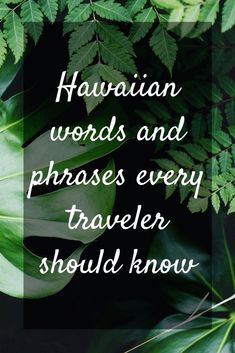 green leaves with the words hawaiian words and phrases every traveler should know on it's side