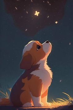 a brown and white dog sitting on top of a field under a sky filled with stars