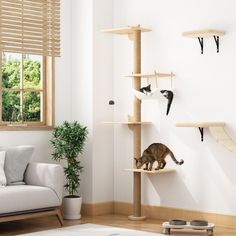 a cat sitting on top of a wooden shelf next to a white couch in a living room