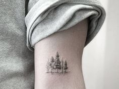 a small tree tattoo on the right inner arm, with two trees in the background