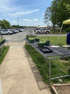 a table with plants on it in the middle of a parking lot next to some parked cars