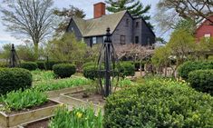 an old house with many plants in the front yard and garden beds around it on both sides