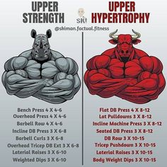 the differences between upper and lower body muscles are shown in this graphic diagram, which shows how