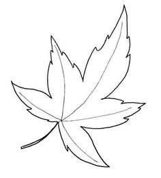 a drawing of a leaf that has been drawn in the shape of a maple leaf