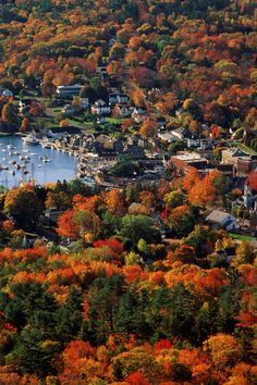 an aerial view of boats in the water surrounded by trees with autumn foliage around them