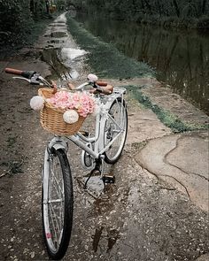 a bicycle parked next to a body of water with flowers in the basket on it