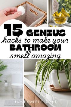 the top ten genius hacks to make your bathroom smell amazing with text overlay