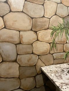 a potted plant sitting on top of a stone bench next to a wall made of rocks