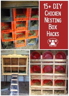 chicken nesting box hacks are an easy way to keep chickens out of the coop