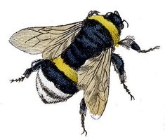 a drawing of a bee on a yellow background