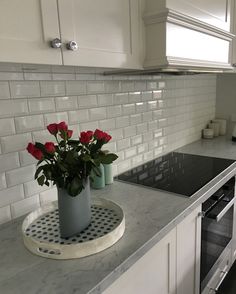 a potted plant sitting on top of a kitchen counter