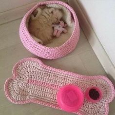 a small dog laying in a pink crocheted bed next to a smaller one