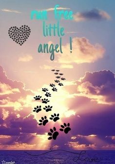 the sky is filled with lots of clouds and paw prints that spell out, i am free little angel