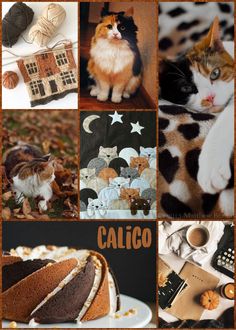 a collage of pictures with cats and cakes