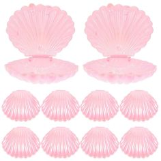 six pink seashells on a white background