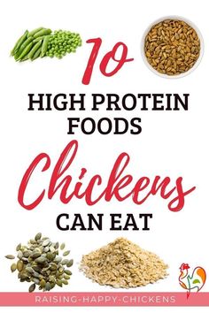 high protein foods that are high in choles can be used to help you gain weight