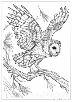 an owl sitting on top of a tree branch with its wings spread out and it's eyes open