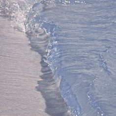 a bird standing in the surf at the beach