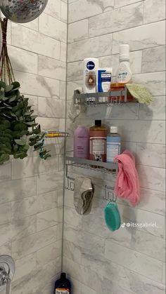 a bathroom with white marble tile walls and shelving on the shower wall is filled with personal care items