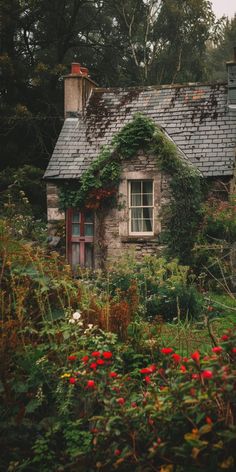 an old stone house with ivy growing on it's roof and windows is surrounded by wildflowers