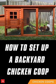 a backyard chicken coop with the words how to set up a backyard chicken coop