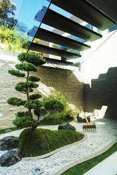 an outdoor area with rocks, grass and a small tree in the middle of it