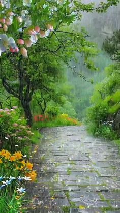 an image of a pathway in the rain with flowers and trees on either side that is wet