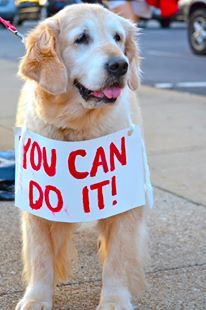 a dog with a sign on its neck that says you can do it and is standing on the sidewalk