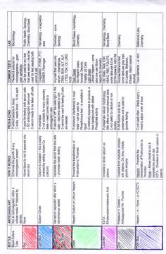 an image of a chart with different colors and numbers on it, including the names of each