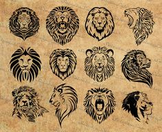 lion head tattoo designs on parchment paper