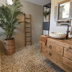 a bathroom with a plant in the corner