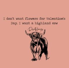 a black and white drawing of a bull with the words i don't want flowers for valentine's day, i want a highland cow