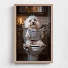 a white dog sitting on top of a toilet reading a newspaper while looking at the camera