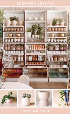 the shelves are full of plants and pots with text that reads shop the shelves show me more