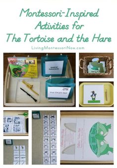 montessori inspired activities for the tortoise and the hare