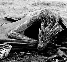 the remains of an old tree stump with a dragon head sticking out of it