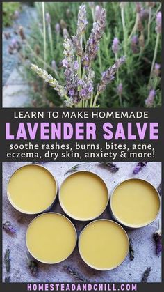 Lavender Salve, Healing Salve Recipe, Herbal Salves