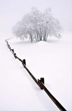 a fence in the middle of a snow covered field next to a tree with no leaves on it