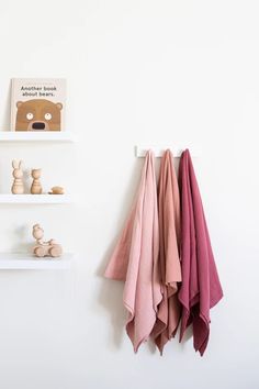 towels are hanging on the wall next to two shelves and a teddy bear is in the background