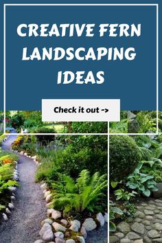 Promotional graphic for Creative Fern Landscaping Ideas with sample garden pathway lined with ferns and stones. Waterfall Landscape