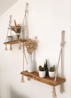 two wooden shelves with rope hanging from them and plants in pots on the top shelf