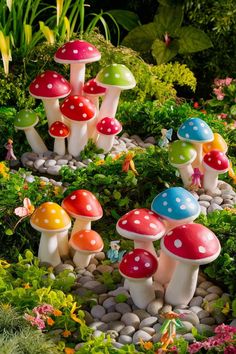 many different colored mushrooms in the grass and rocks with plants around them, all on top of each other