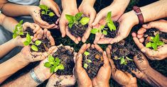 many people are holding their hands together to hold plants