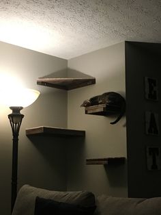 a living room filled with furniture and a lamp on top of a wooden shelf next to a wall mounted bird head