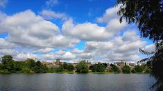 a lake with trees and buildings in the background under a blue sky filled with clouds